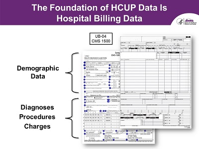 Slide 14 is described below.