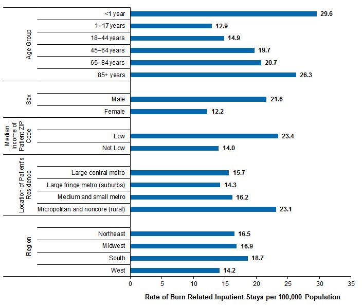 Figure 3 is a bar chart illustrating the burn-related hospital inpatient stays per 100,000 population during 2013 by patient characteristic.