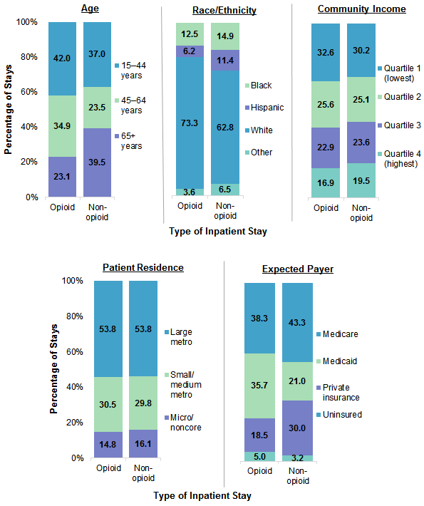 Figure 1 is a bar chart illustrating the percentage of age, race/ethnicity, community income, patient residence, and expected payer characteristics of opioid-related and non-opioid-related inpatient stays among women in 2016. Data are provided in Supplemental Table 1.